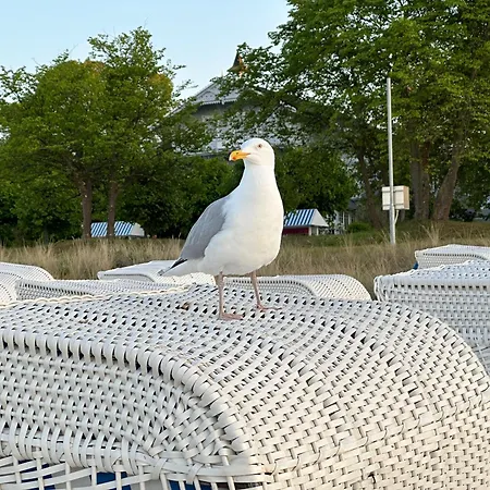 Milana, In Einem Mit 3 In Auf Ruegen Daire Putbus